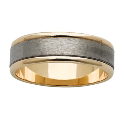 Titanium Ring with Gold Inner